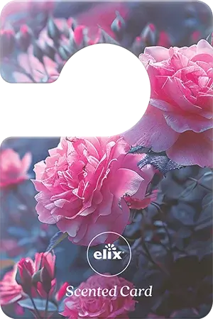 SC_rose_garden_product_1.0.webp