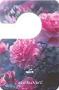 SC_rose_garden_product_1.0.webp