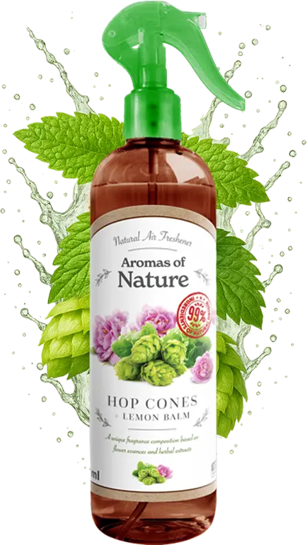 SPRAY DO POMIESZCZEŃ AROMATY NATURY 300 ml