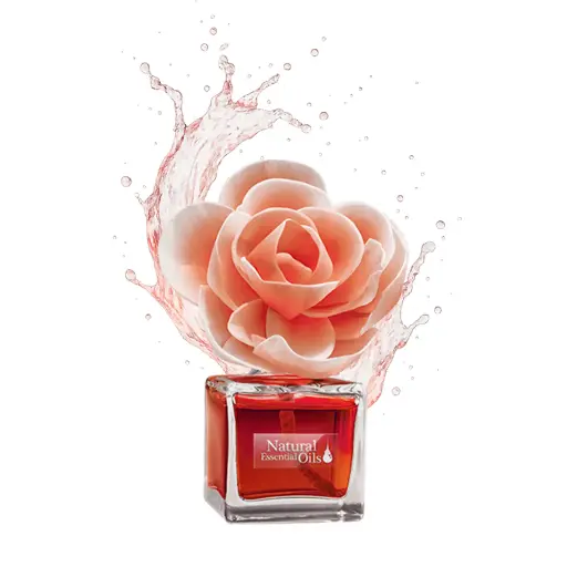 DYFUZOR ZAPACHOWY BLOOM AT HOME 100 ml