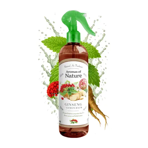 SPRAY DO POMIESZCZEŃ AROMATY NATURY 300 ml